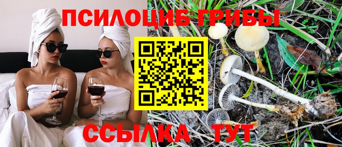 Псилоцибиновые грибы Psilocybine cubensis  Вход с VPN  как найти закладки  Домодедово 